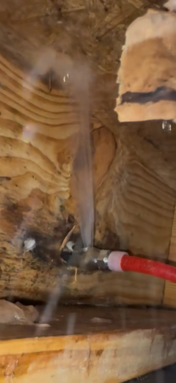 Water spraying from a leaking fitting where a red PEX line connects to an outdoor hose bib inside a Middle Tennessee crawl space